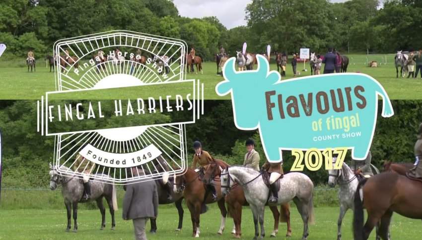 В Ірландії літній шоу Fingal об'єднує сільське господарство та «незабутні враження»