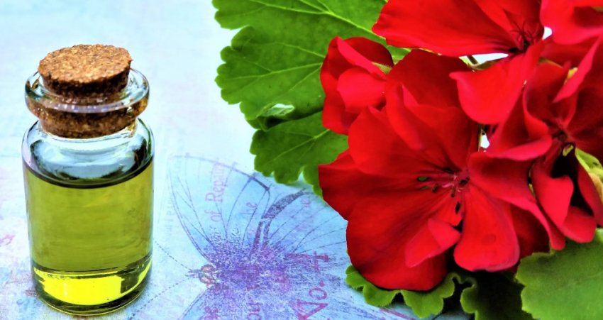 Ефірне масло герані Ефірне масло герані