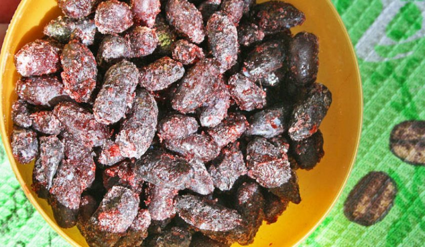 Заморозка жимолості Заморозка жимолості