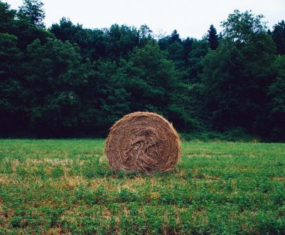 Глава татарстанського Мінсільгоспу підвів підсумки кампанії сенокосной