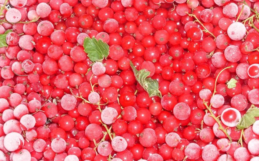 Заморозка червоної смородини