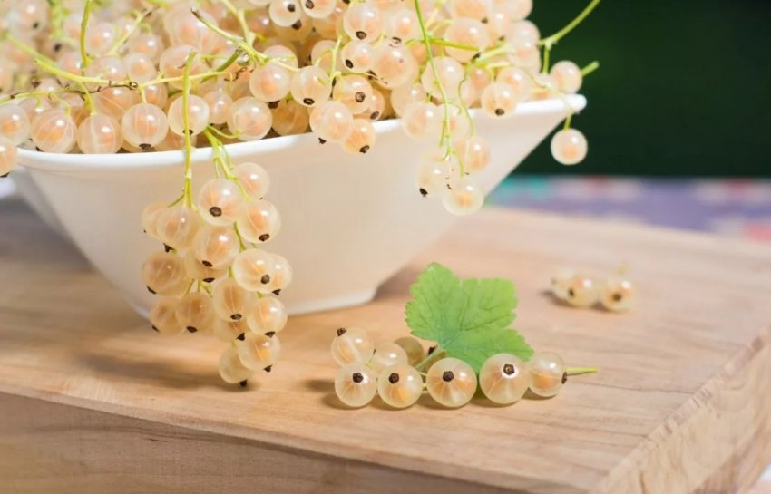 Смородина Ляйсан