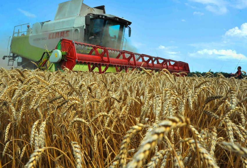 Глава татарстанського Мінсільгоспу підвів підсумки сенокосной кампанії Глава татарстанського Мінсільгоспу підвів підсумки сенокосной кампанії