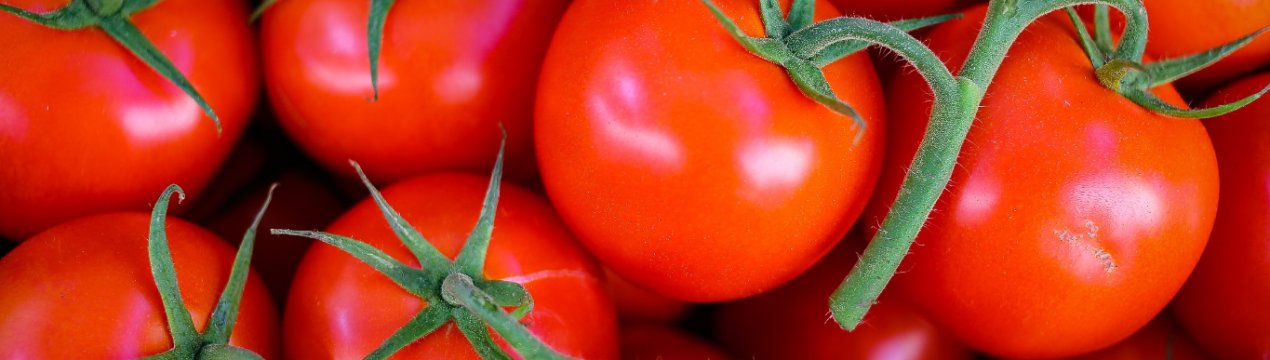 В Україні відчутно подорожчали томати