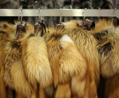В Ірландії можуть заборонити хутрове звірівництво