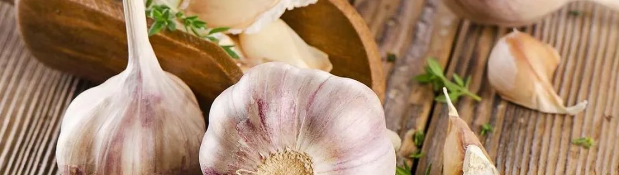 Український часник втрачає якість із-за дощів