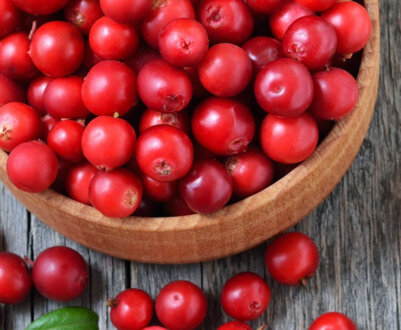 Лікувальні властивості брусниці, шкода і користь для організму людини, рецепти