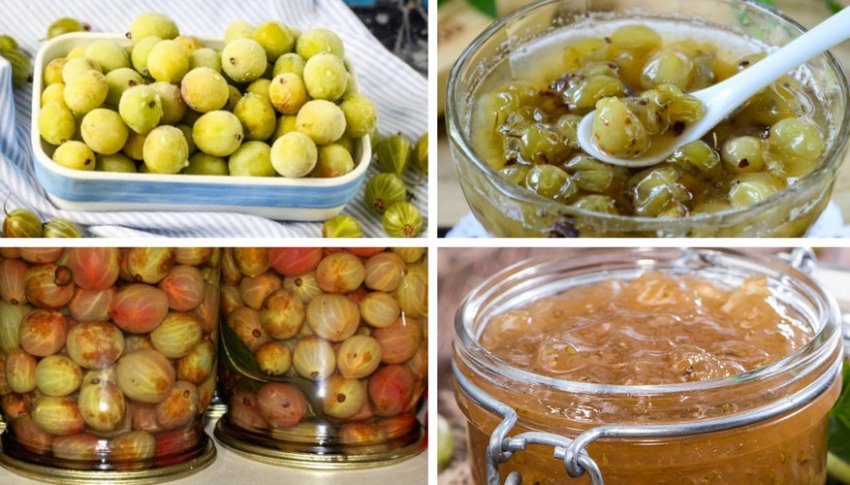 Домашні заготовки з агрусу