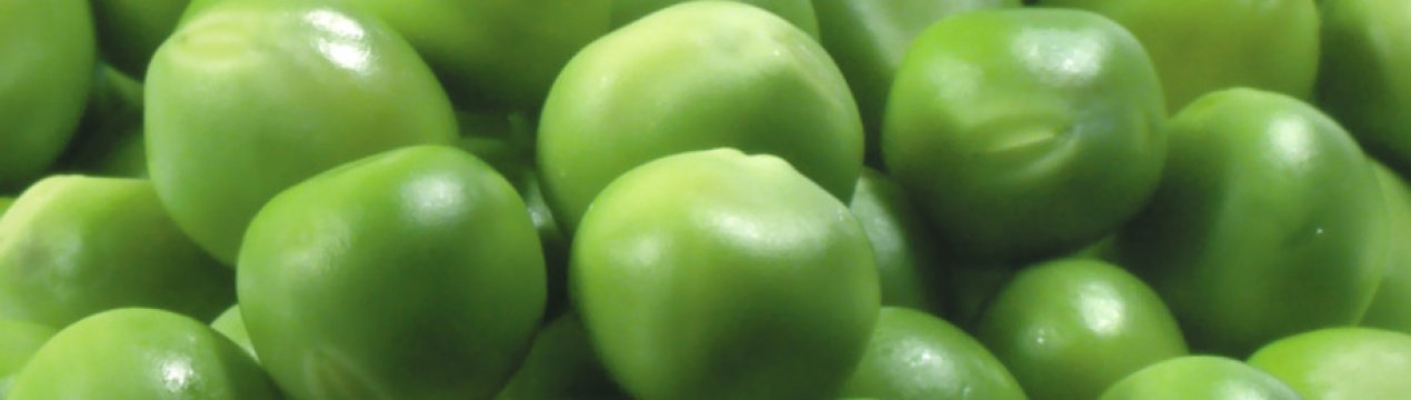 Як зберігати горох в домашніх умовах