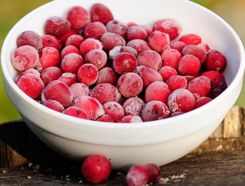 брусниця Заморожена