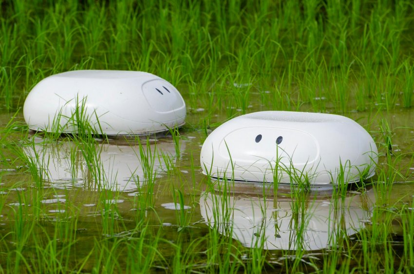 Робот-качка для японських фермерів