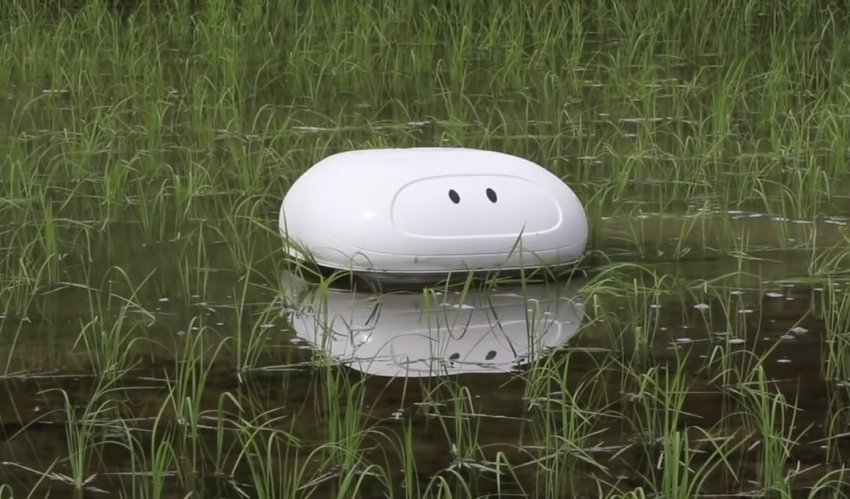 Робот-качка для японських фермерів