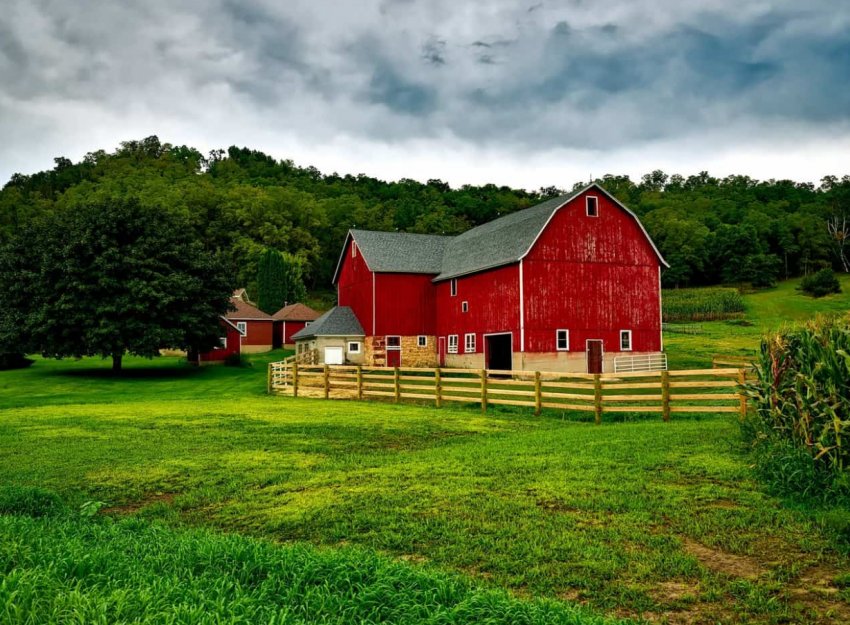 FAO підтримає 100 000 фермерських господарств в Нігерії