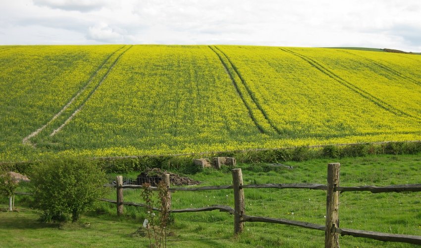 #FarmMyFood: сотні підлітків дізнаються про сільському господарстві #FarmMyFood: сотні підлітків дізнаються про сільському господарстві