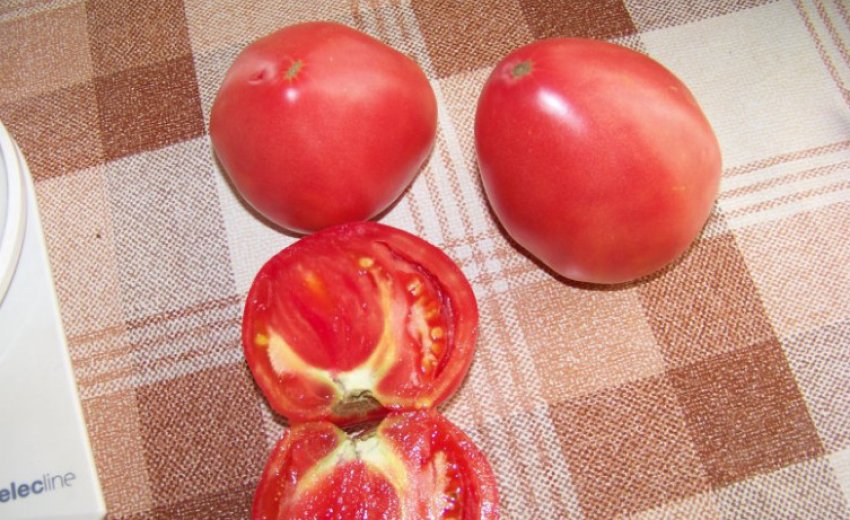 Томат червоний Томат червоний