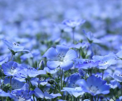 Ярославські аграрії будуть підвищувати родючість землі і розвивати культивацію льону