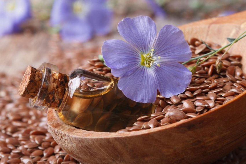 Ярославські аграрії будуть підвищувати родючість землі і розвивати культивацію льону Ярославські аграрії будуть підвищувати родючість землі і розвивати культивацію льону