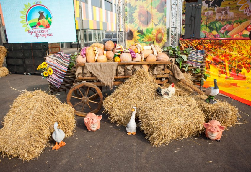 Кубанські фермери активно готуються до осінньої мегаярмарке