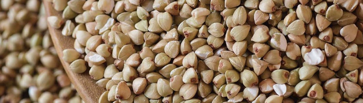 В Україні очікується неминуче подорожчання гречки