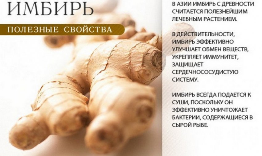 Корисні властивості імбиру
