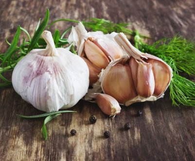 Збір врожаю нового сорти часнику української селекції почнеться через 5 днів