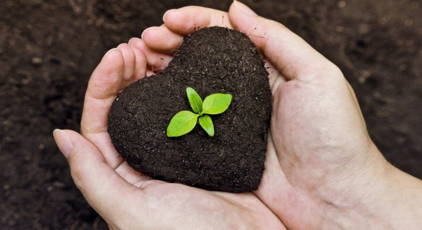 Ґрунт Ґрунт