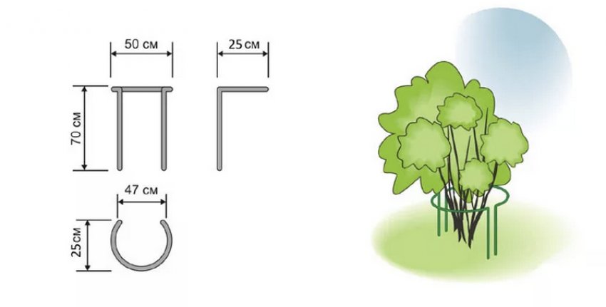 Огорожу для аґрусу