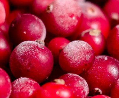 Як і скільки зберігається сира журавлина: способи та рецепти