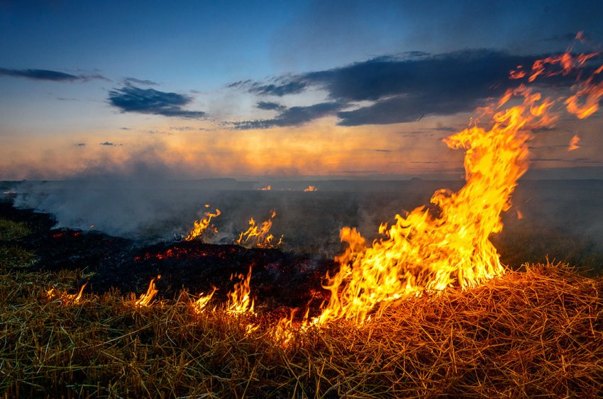 В Херсонській області горять поля