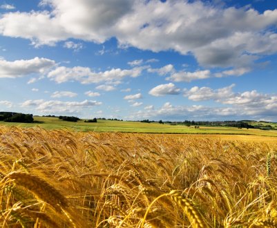 У Херсонській області горять поля