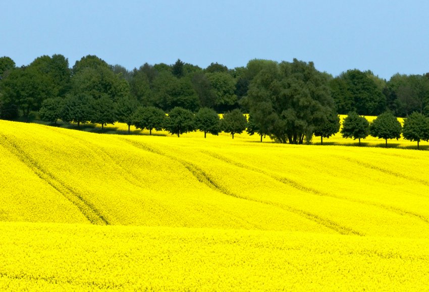 В Херсонській області горять поля