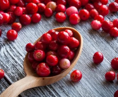 Застосування журавлини дітям: користь і шкода