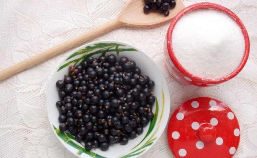 Чорна смородина з цукром
