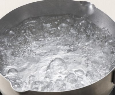 Як правильно обшпарити окропом кущі агрусу і смородини ранньою весною