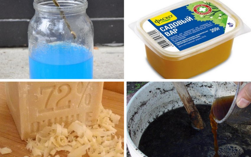 Інгредієнти для боротьби з лишайником і мохом Інгредієнти для боротьби з лишайником і мохом