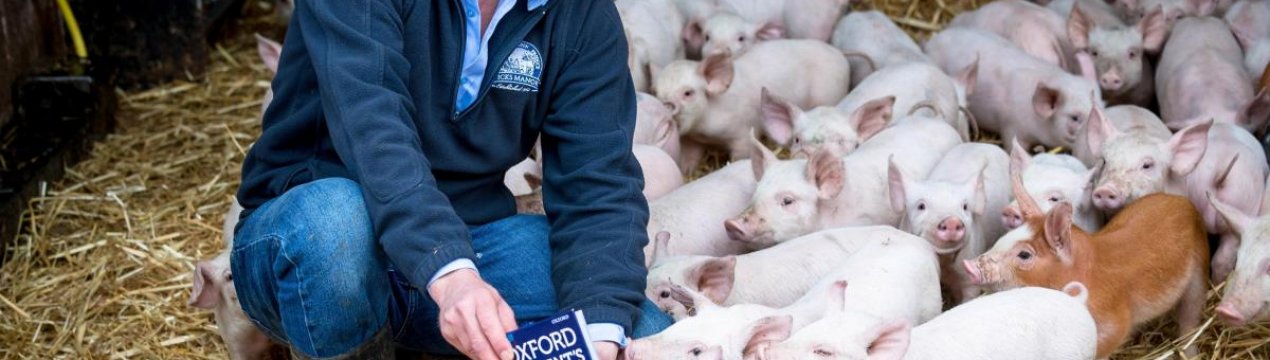 Безкоштовні бізнес-консультації для фермерів північній Англії