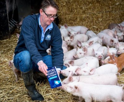 Безкоштовні бізнес-консультації для фермерів північній Англії