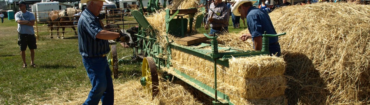 Брак робочої сили у сільському господарстві Канади коштує мільярди і, як очікується, буде рости