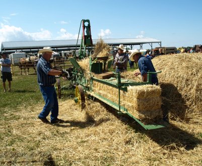 Брак робочої сили у сільському господарстві Канади коштує мільярди і, як очікується, буде рости