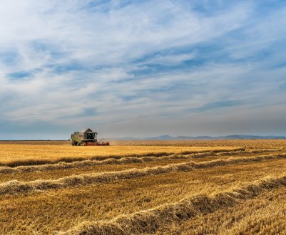 Донські аграрії збирають зерновий урожай