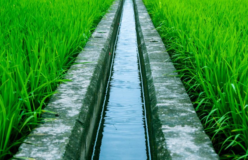 Херсонські аграрії розширюють площі зрошуваних земель Херсонські аграрії розширюють площі зрошуваних земель