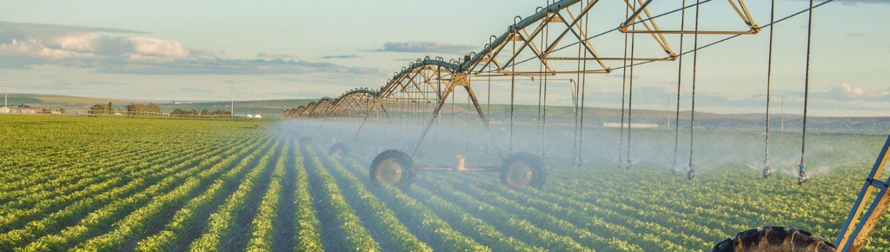 Херсонські аграрії розширюють площі зрошуваних земель