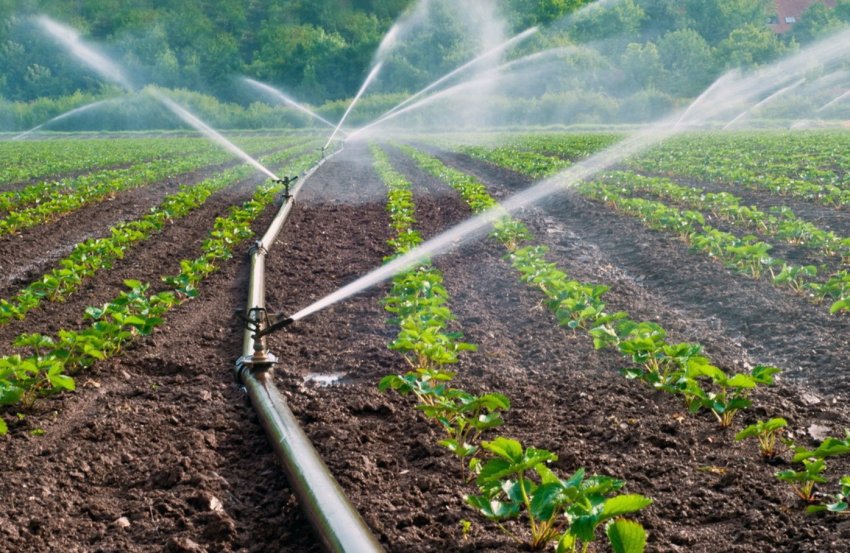 Херсонські аграрії розширюють площі зрошуваних земель Херсонські аграрії розширюють площі зрошуваних земель