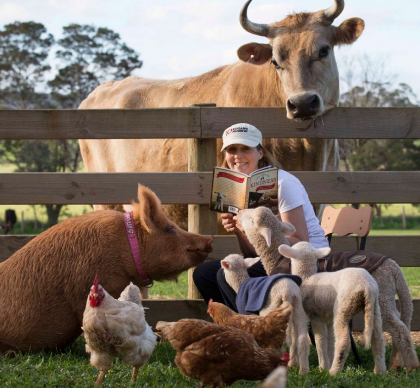 Безкоштовні бізнес-консультації для фермерів північної Англії