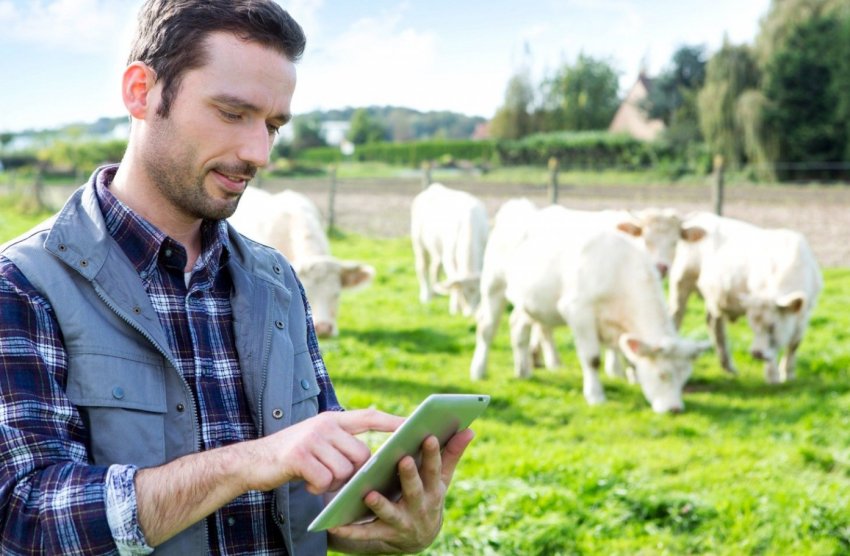 Безкоштовні бізнес-консультації для фермерів північної Англії