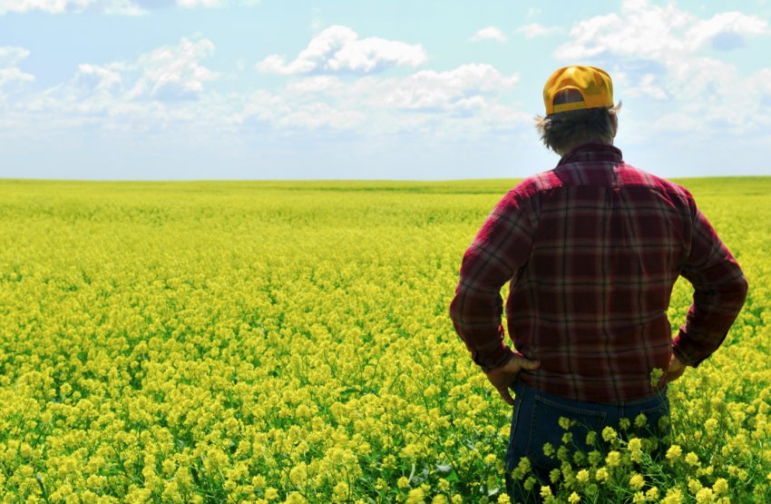 Міністр сільського господарства США заявив, що американські фермери — жертви торгової війни Міністр сільського господарства США заявив, що американські фермери — жертви торгової війни