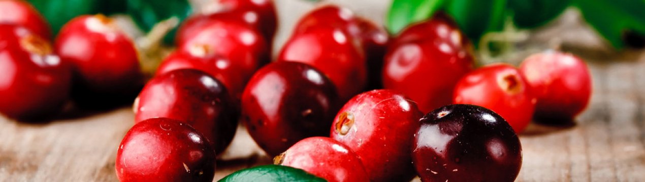 Користь і застосування олії насіння журавлини