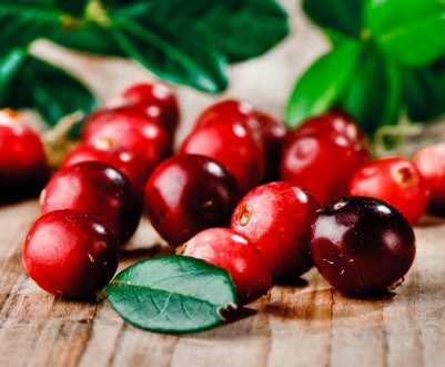 Користь і застосування олії насіння журавлини