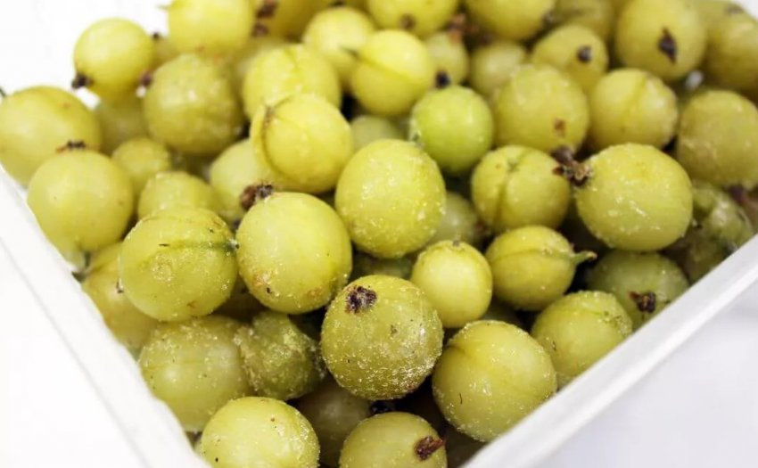 Заморозка агрусу