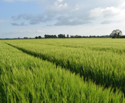 Четверта кредитівка в Україні почав працювати з аграрними розписками